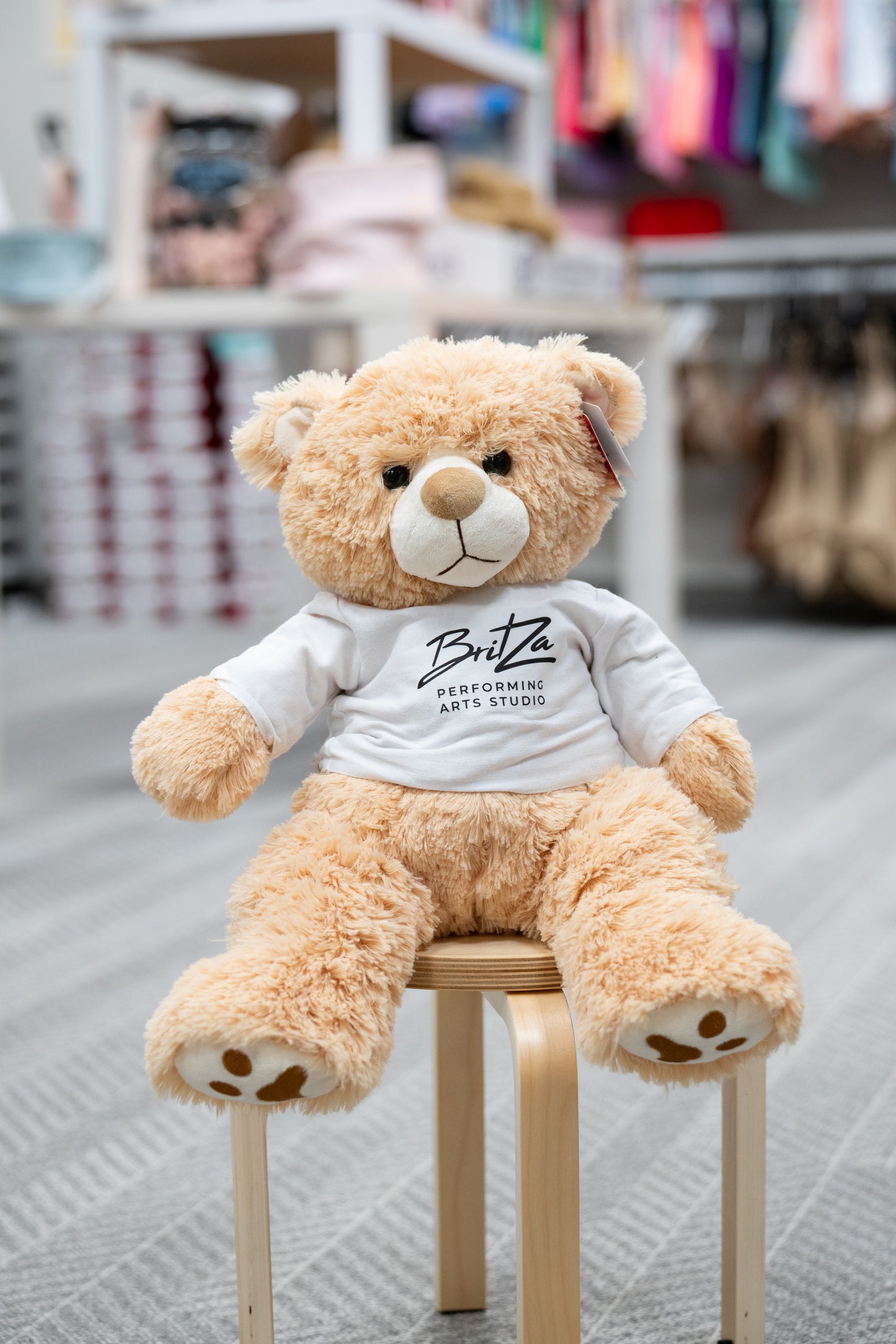 BritZa Bear w/ Scarf - 18 in