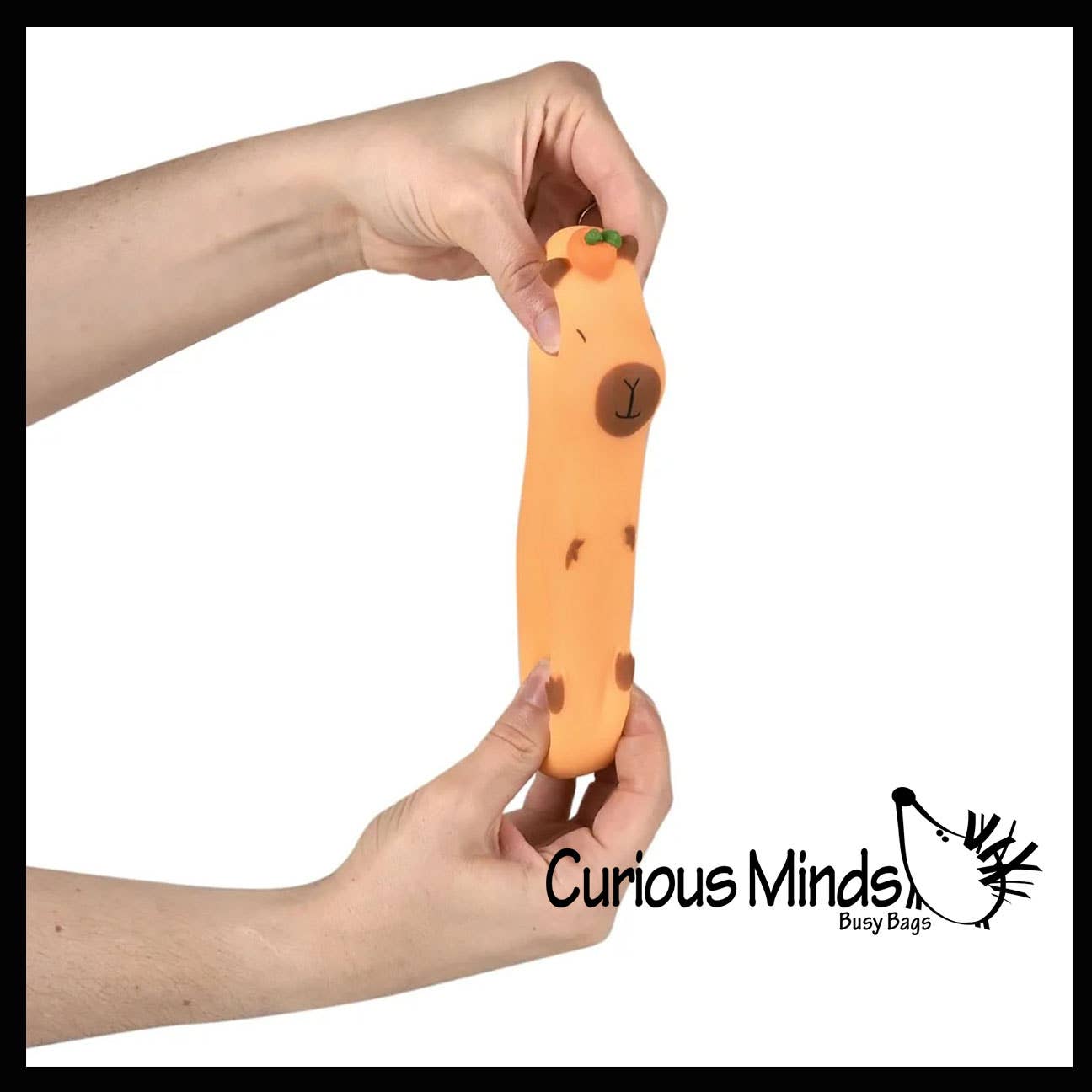 Capybara Sand Sensory Toy