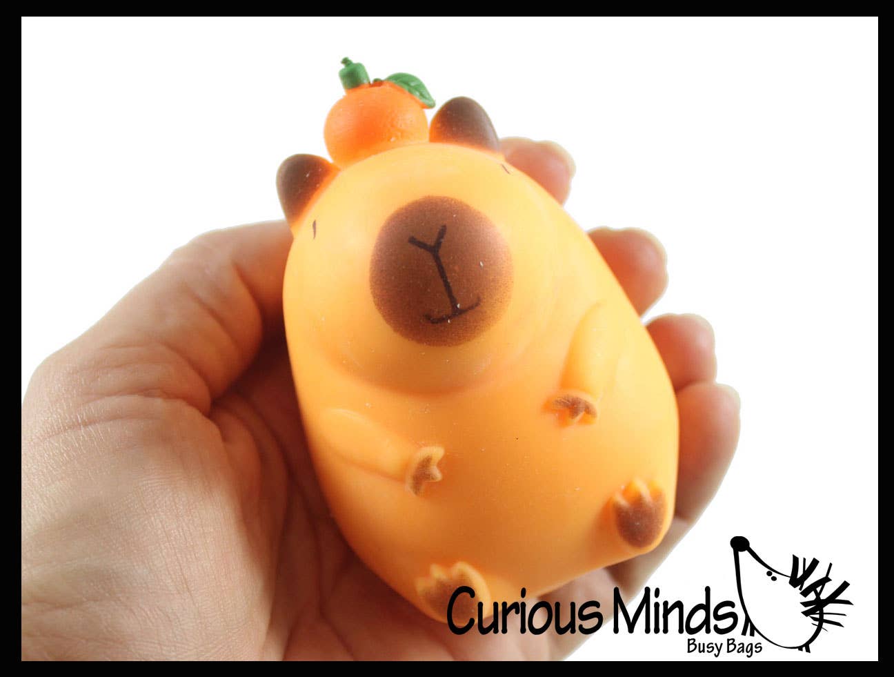 Capybara Sand Sensory Toy