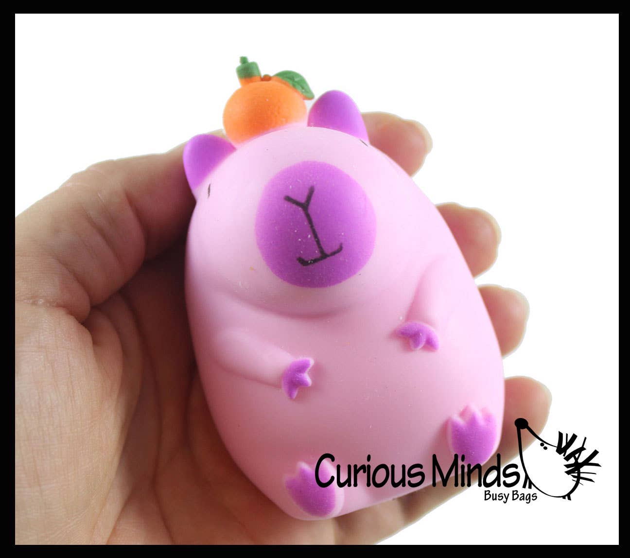 Capybara Sand Sensory Toy