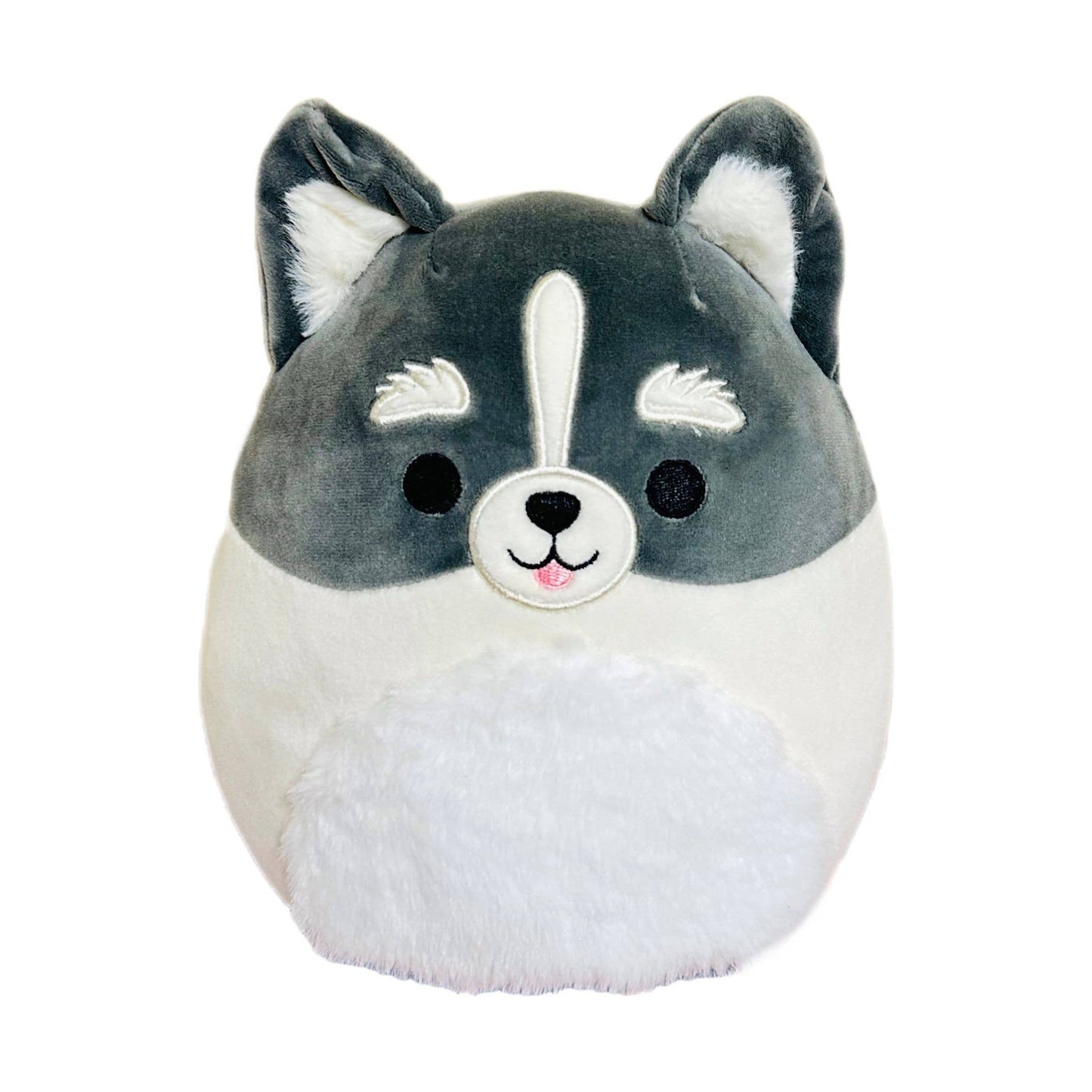 Toys - Squishmallow Dog Plush Toy 8" Paolo the Pomsky