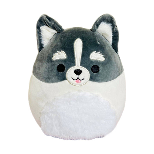 Toys - Squishmallow Dog Plush Toy 8" Paolo the Pomsky