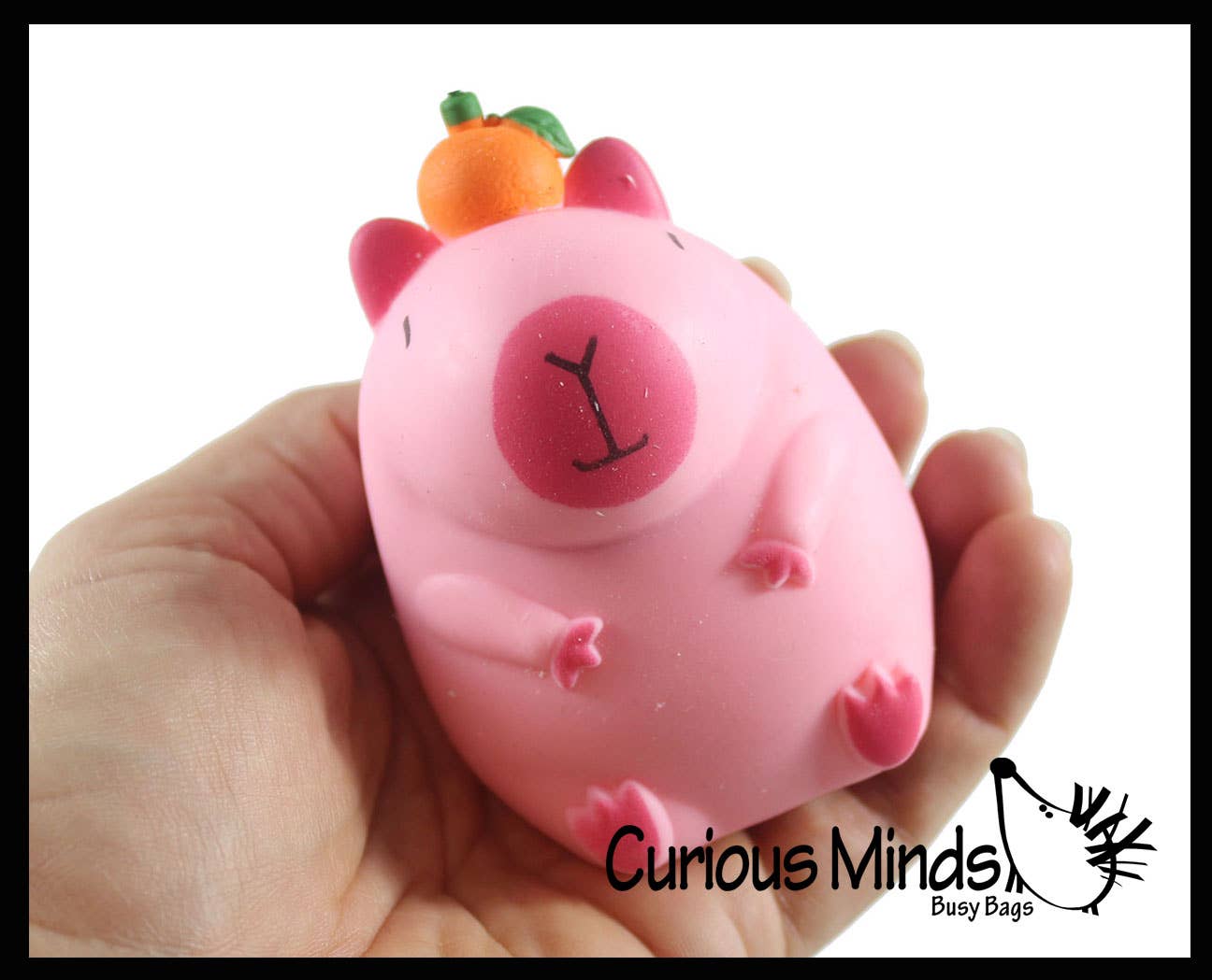 Capybara Sand Sensory Toy