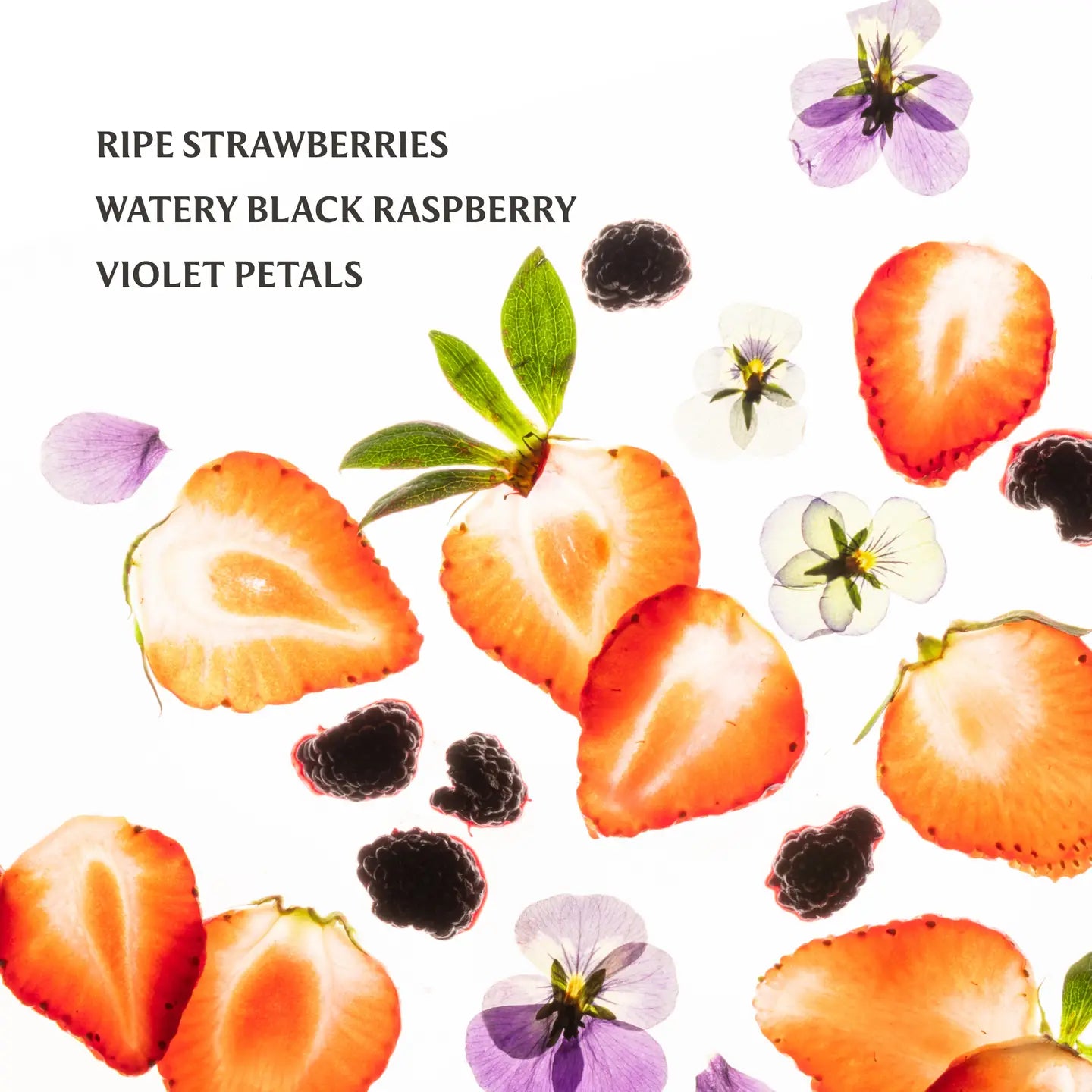 Touchland Power Mist Hydrating Hand Sanitizer