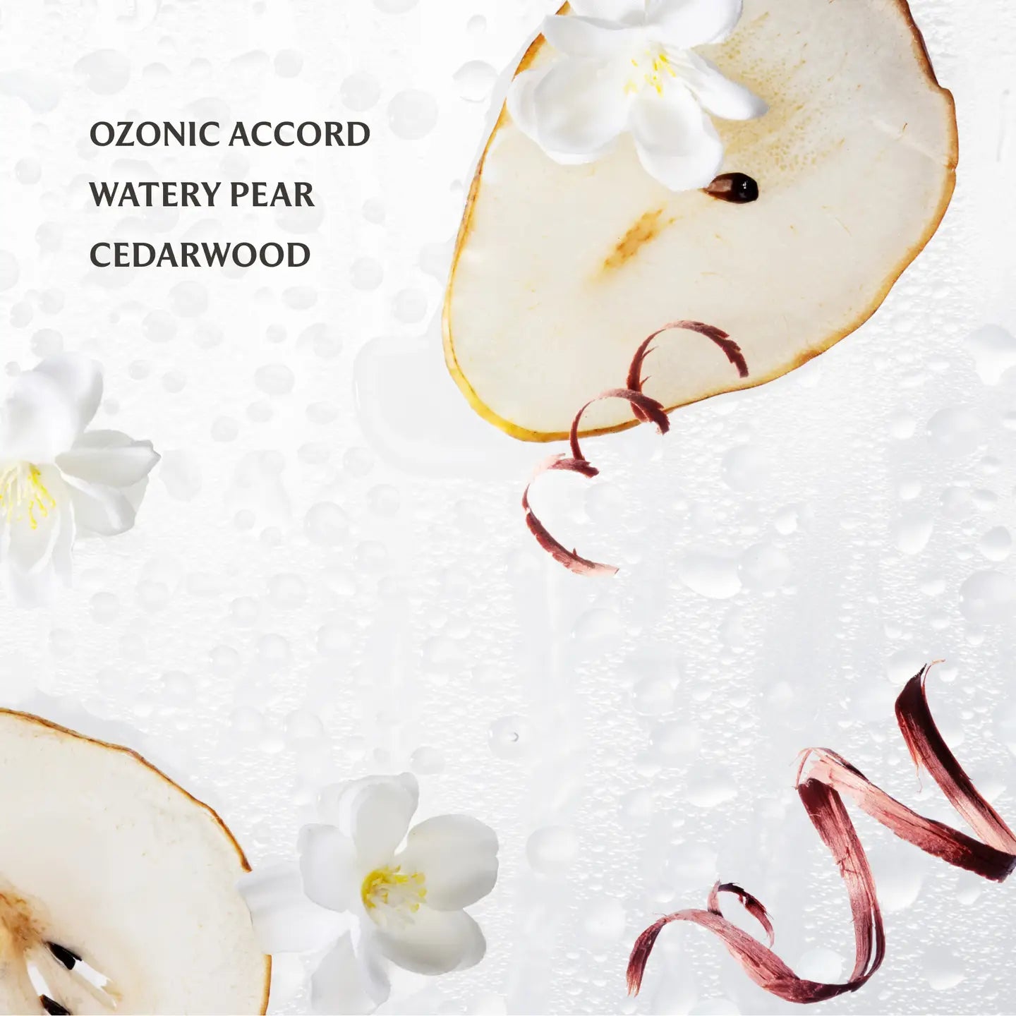 Touchland Power Mist Hydrating Hand Sanitizer