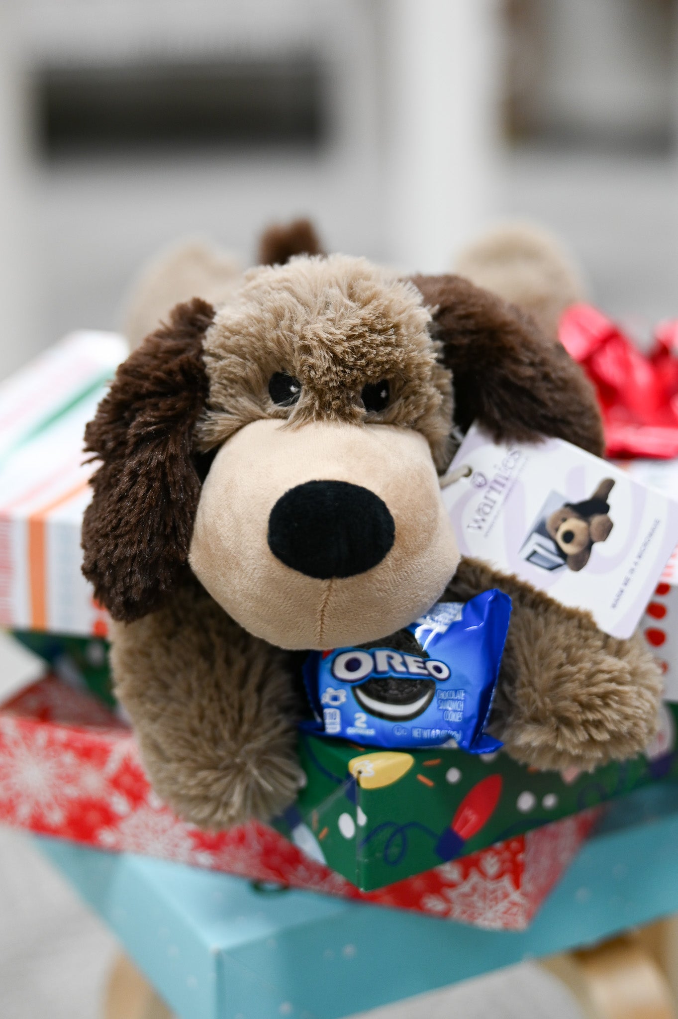 2025 Holiday Show Stuffed & Warm!