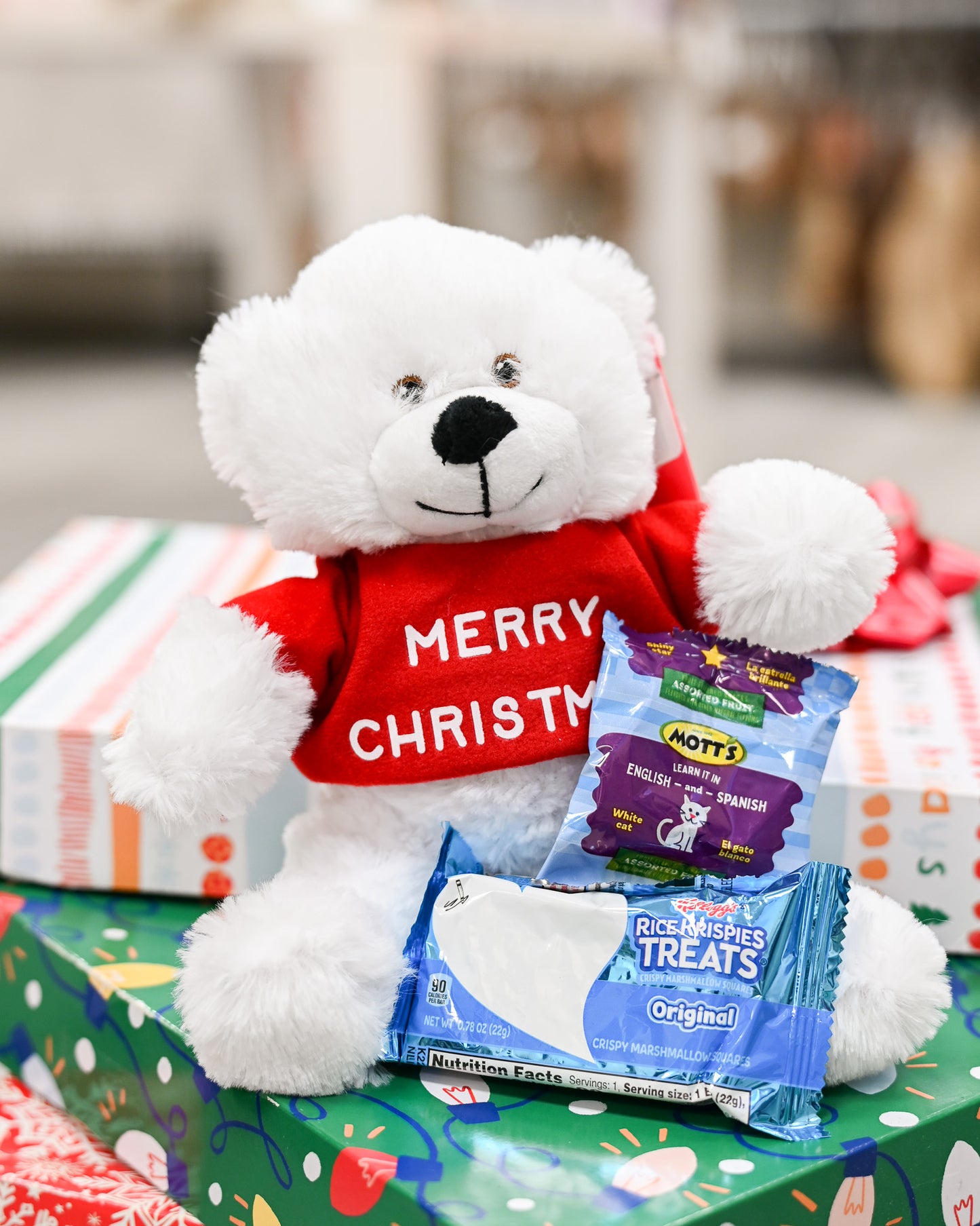 2025 Holiday Show Beary Merry Christmas