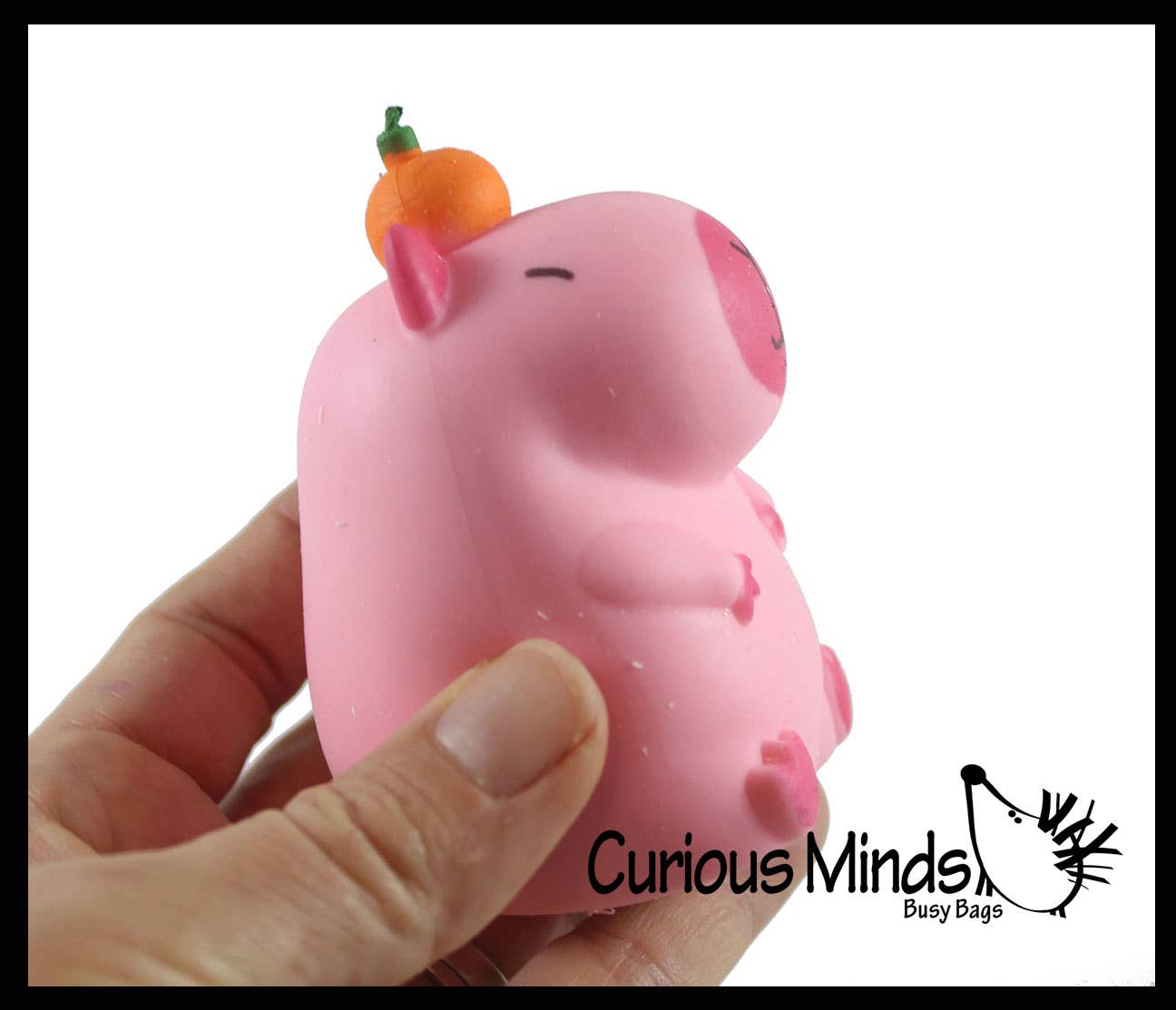 Capybara Sand Sensory Toy