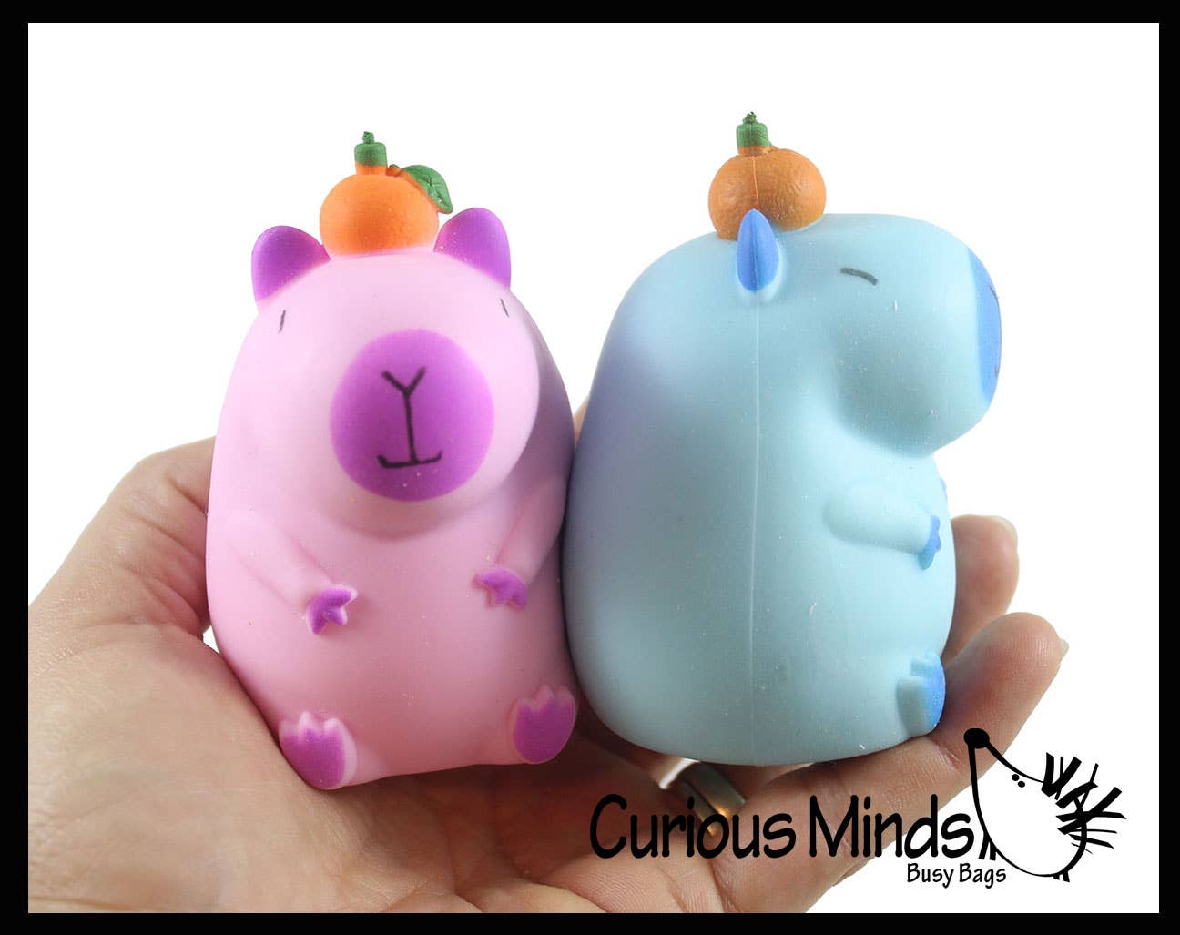 Capybara Sand Sensory Toy